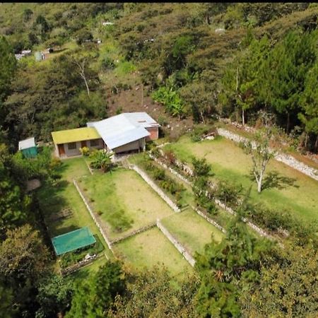 Lucmabamba Lodge 산타 테래사 외부 사진