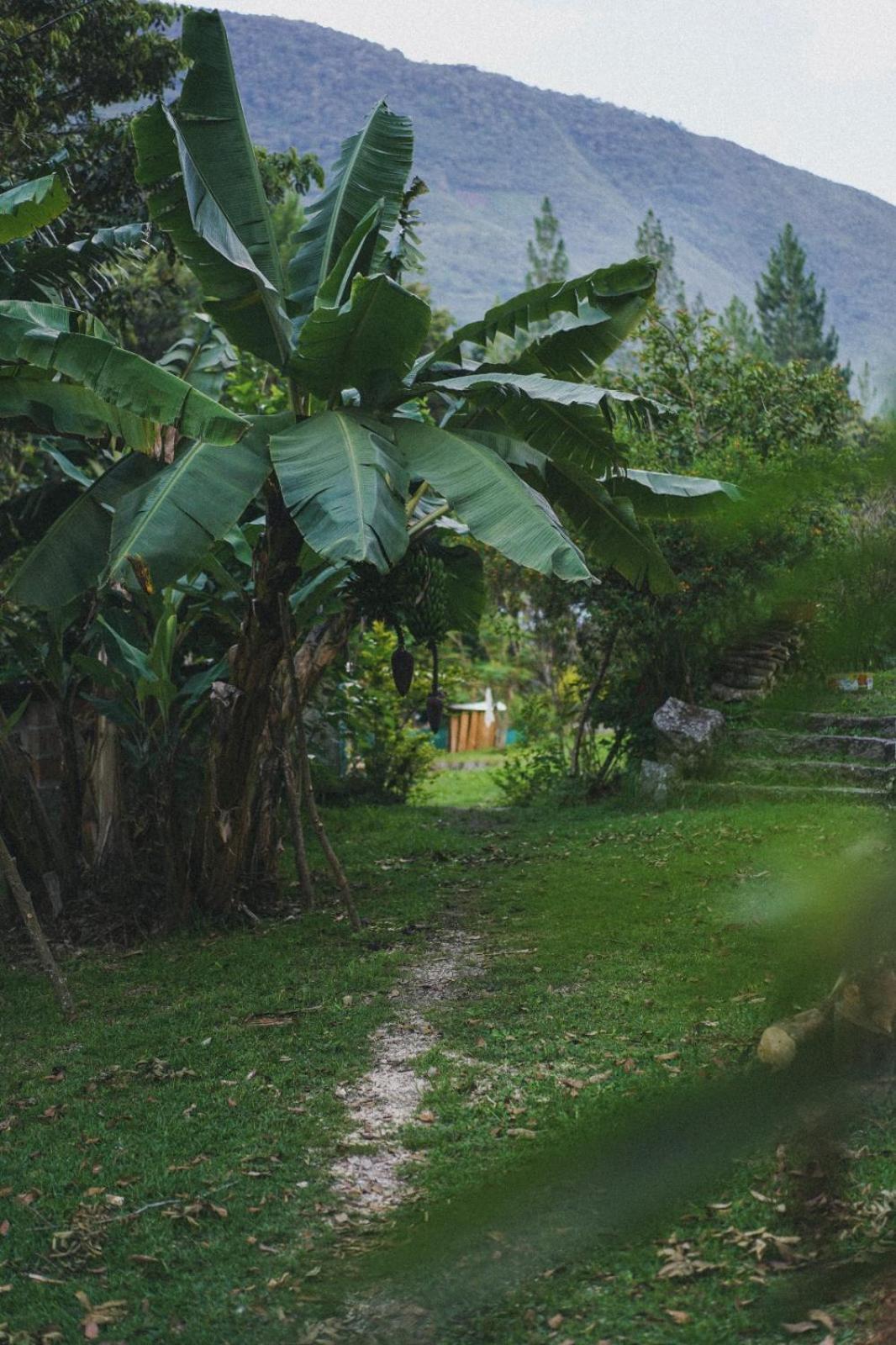 Lucmabamba Lodge 산타 테래사 외부 사진